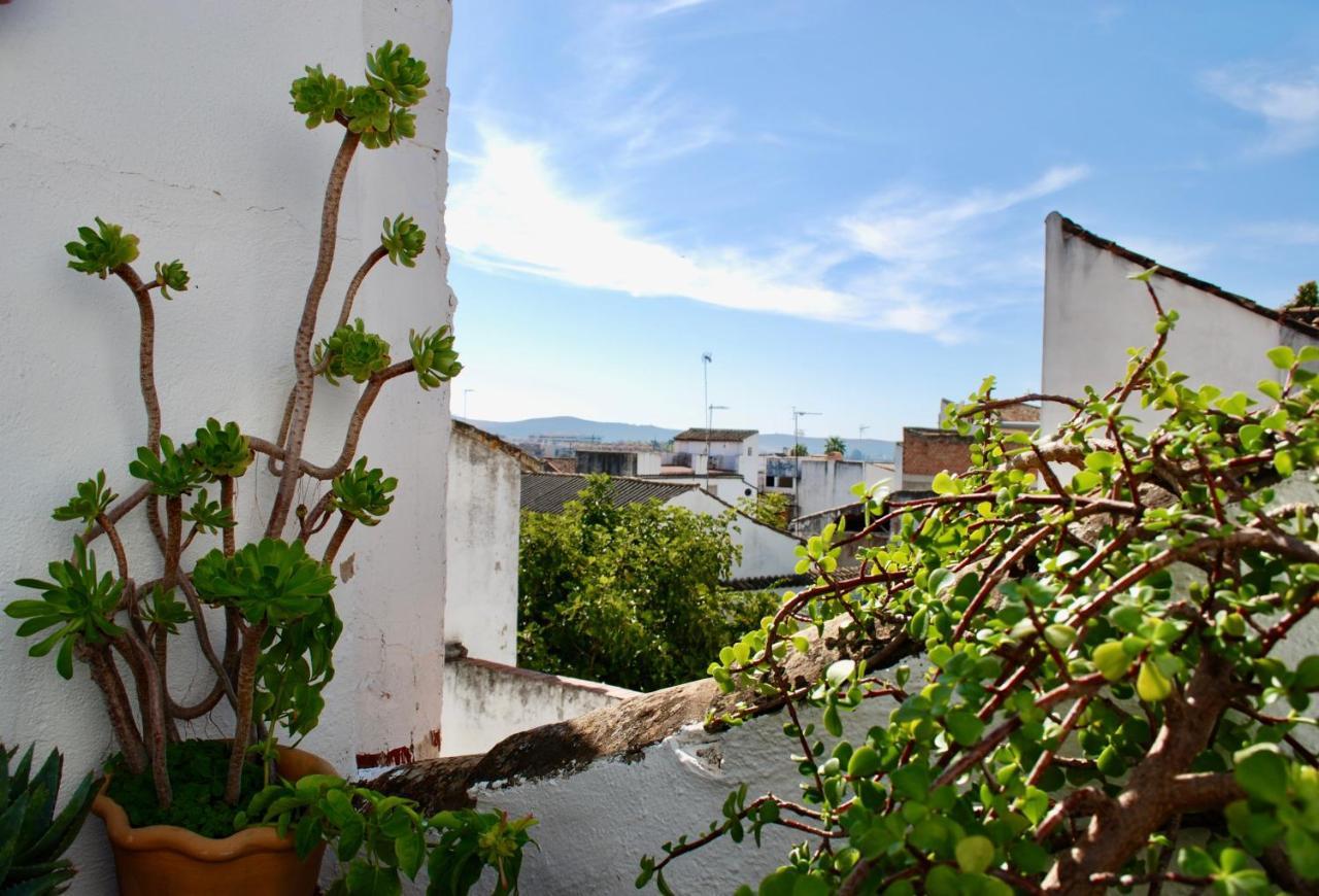 Backpacker Al-Katre Bed & Breakfast Cordoba Exterior photo